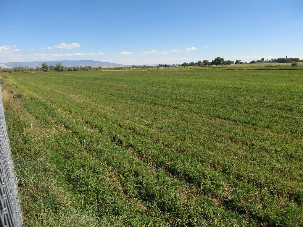 Farm in Naples Utah